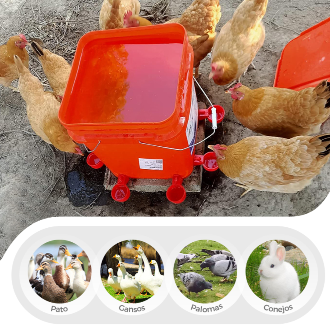 Bebedero AutoFresh para Aves de Corral
