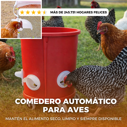 KIT COMEDERO DE AVES
