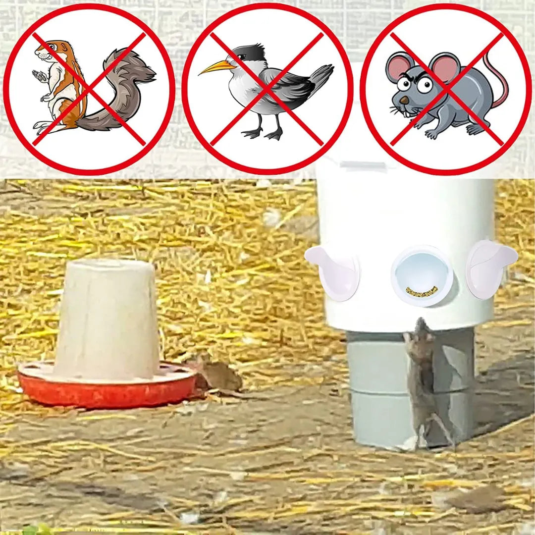 Comedero AutoFeed Anti-Desperdicio Para Aves de Corral