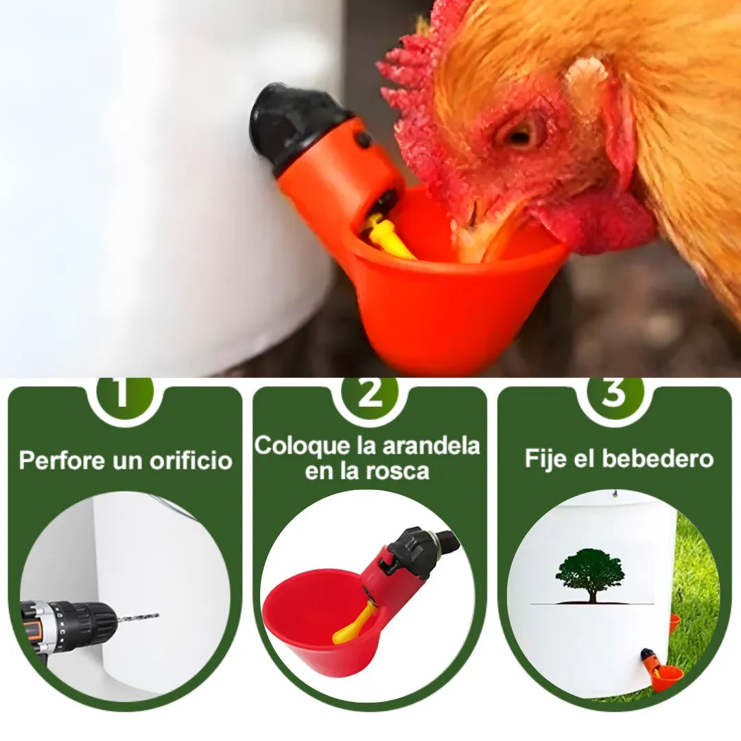Agua Siempre Lista: Bebedero con niple para Aves