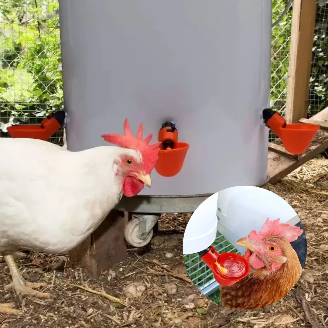 Agua Siempre Lista: Bebedero con niple para Aves