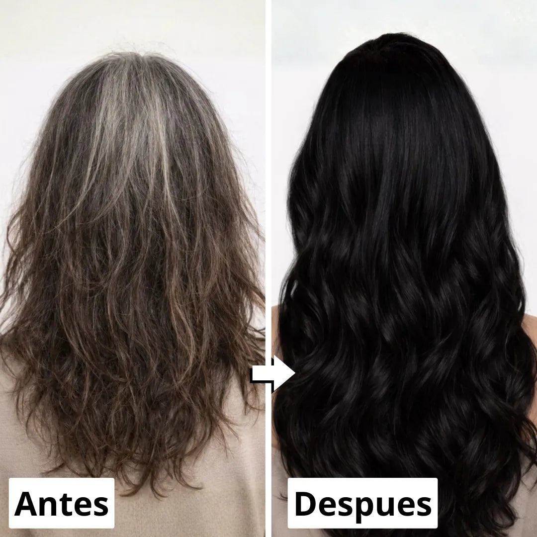 Shampoo Tinte Negro